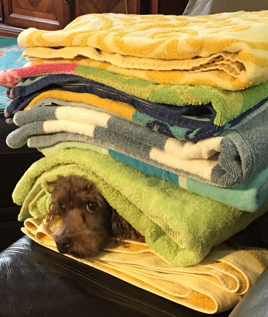 Towels Of All Colors and Materials