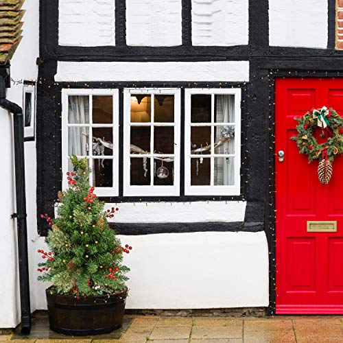 Holiday Christmas Tree 2 Set Pathway Porch