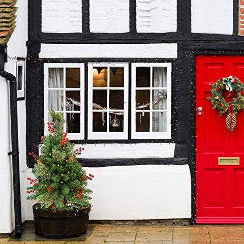 Holiday Christmas Tree 2 Set Pathway Porch